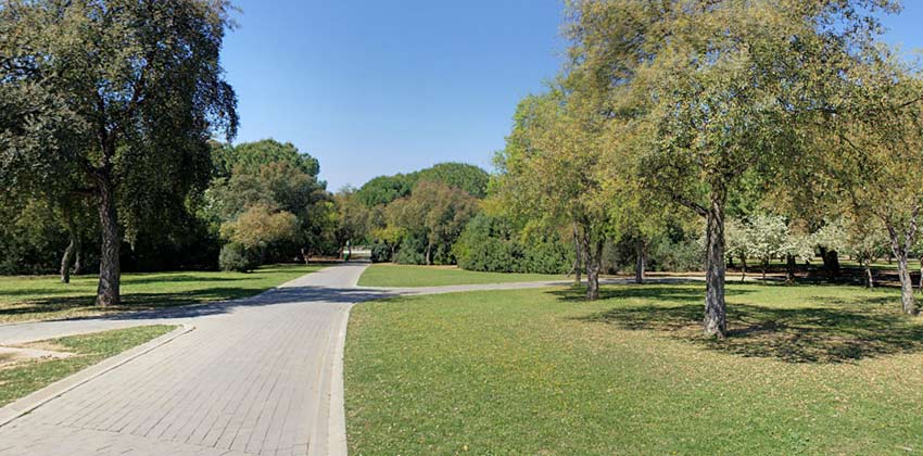 Parque del Alamillo de Sevilla | Sevilla con los peques