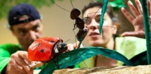 Espectáculo de Títeres en CaixaForum Sevilla | Sevilla con los peques