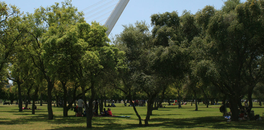 Actividades en Inglés para familias en Parque del Alamillo| Sevilla con los peques