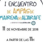 La Azotea Azul recauda fondos en el I Encuentro de Ampas de Mairena 00 | Sevilla con los peques