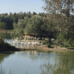 Excursión a la Cañada de los pájaros con Senderismo Sevilla 00 | Sevilla con los peques