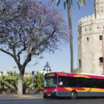 Normas de uso Tussam | Sevilla con los peques