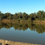 Corredor verde del Guadiamar en mirador | Sevilla con los peques