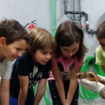 Campamento de Verano para Niños del Acuario de Sevilla