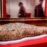 Exposición Momias de Egipto: Redescubriendo seis vidas de CaixaBank Sevilla | Sevilla con los peques