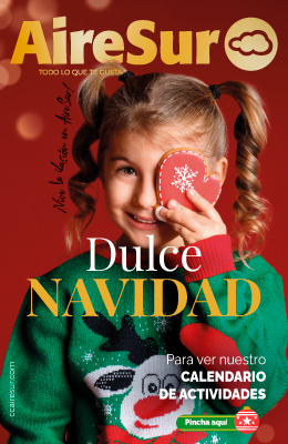 Banner Aire Sur Navidad